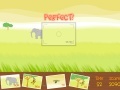 Jeu Coconut's Safari