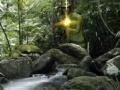 Jeu Rambo: The Fight Continues