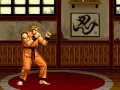 Jeu Art of Fighting