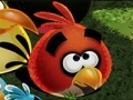 Jeu Angry Birds Save