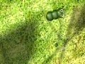 Jeu Caterpillar