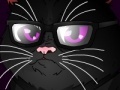 Jeu Grumpy Cat