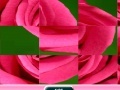 Jeu Rose Sliding Puzzle
