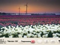 Jeu Windflowers Find Numbers