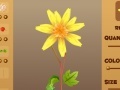 Jeu Magic Flower