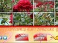 Jeu Puzzle Craze - Rose Garden