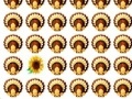 Jeu Thanksgiving Day Matching Game