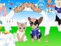 Jeu Pet Wedding Dress up
