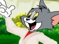 Jeu Tom and Jerry dress up