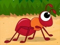 Jeu Hurry Up Ant
