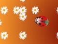 Jeu Ladybug and flower