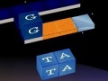 Jeu WordKnot