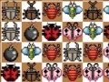 Jeu Match the Bugz
