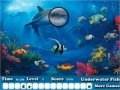 Jeu Fish Hidden Letters