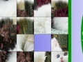 Jeu Sweet White Cat Slide Puzzle