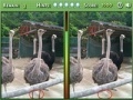 Jeu Spot the Difference 2