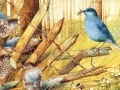 Jeu Art Painting Bird Puzzles