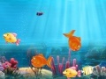 Jeu Match the fish pairs