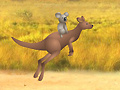 Jeu Outback Winds
