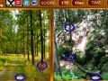Jeu Forest Similarities Game