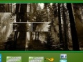 Jeu Puzzle Craze Dark Forest