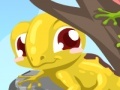 Jeu Gecko Care