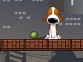 Jeu Smart Dog