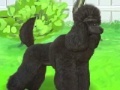Jeu Pretty poodle