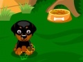Jeu Sweet Dog