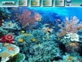 Jeu Underwater World G2R