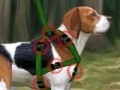 Jeu Beagle training