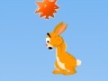 Jeu Hopi: The Jumping Rabbit