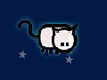 Jeu Flying Cat
