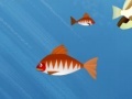 Jeu Hungry Piranha