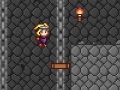 Jeu Tiny island adventure