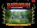 Jeu Barbarian Warrior