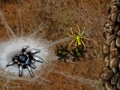 Jeu Arachnid Wars