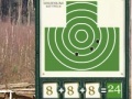 Jeu Sharpshooter. The pistol.