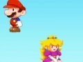 Jeu Mario Mirror