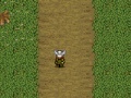 Jeu The viking king