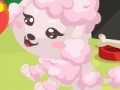 Jeu Poodle care