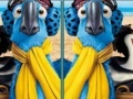 Jeu Rio, spot the difference