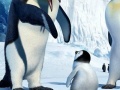 Jeu Hidden Numbers Happy Feet Two
