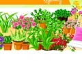 Jeu Garden design
