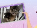 Jeu Style Kaya's Tablet