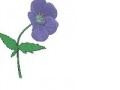 Jeu Bee Believes Flowers