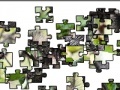 Jeu Jigsaw: Raccoons