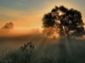 Jeu Sunset