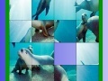 Jeu Ocean and seals slide puzzle