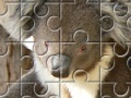 Jeu Austrailian Koala Bears 